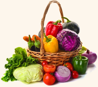 Aenean blandit bibendum lorem